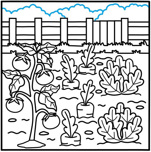 Hướng dẫn vẽ vườn rau củ quả - Bước 11