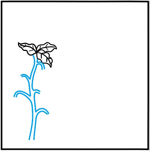 Hướng dẫn vẽ vườn rau củ quả - Bước 3