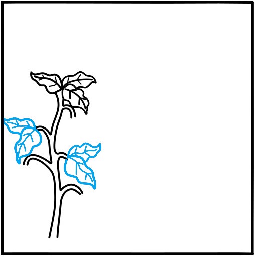 Hướng dẫn vẽ vườn rau củ quả - Bước 4