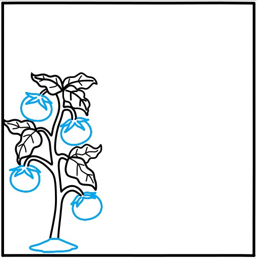 Hướng dẫn vẽ vườn rau củ quả - Bước 5