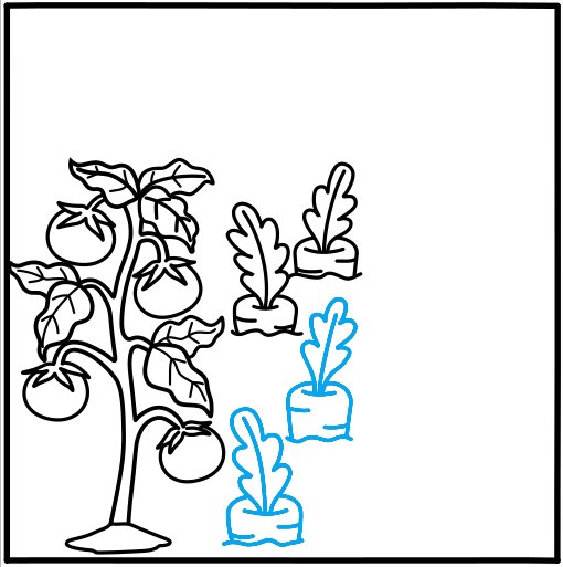 Hướng dẫn vẽ vườn rau củ quả - Bước 7