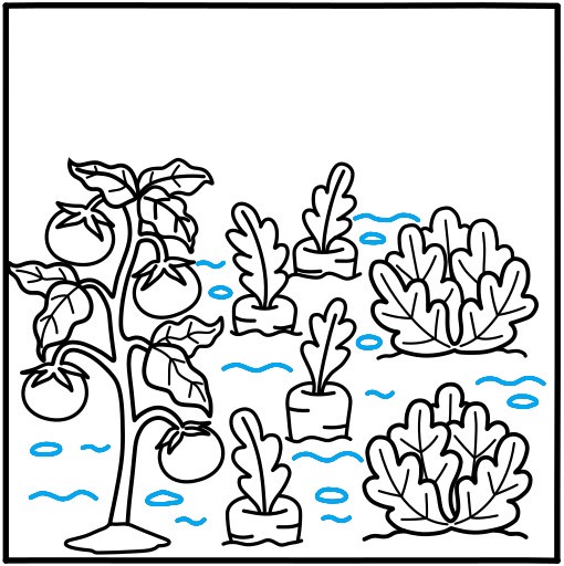 Hướng dẫn vẽ vườn rau củ quả - Bước 9