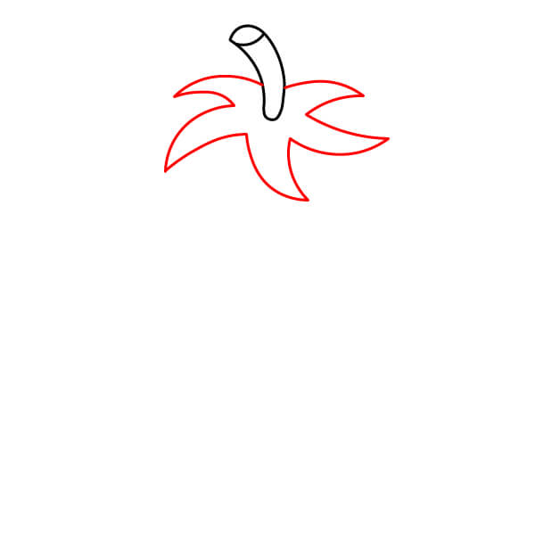 Hướng dẫn vẽ Cà Chua đơn giản dành cho trẻ em. - Bước 2