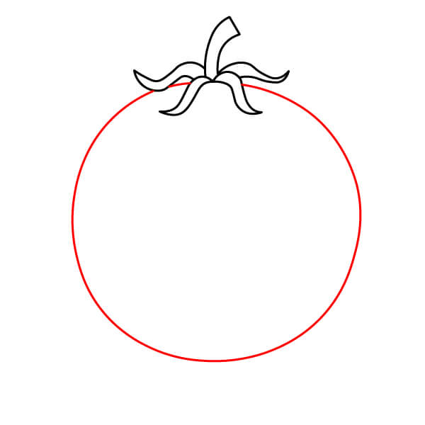 Hướng dẫn vẽ nhân vật Cà Chua cười - Bước 2