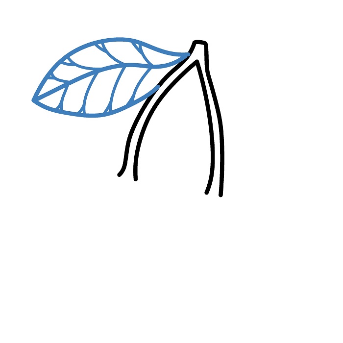 Hướng dẫn vẽ Quả Cherry cực đơn giản. - Bước 3