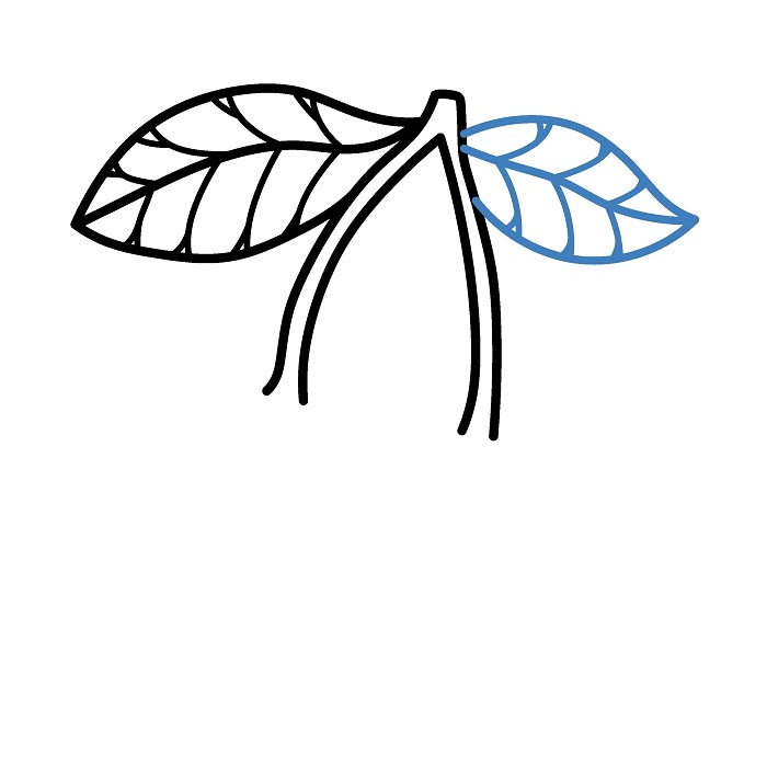 Hướng dẫn vẽ Quả Cherry cực đơn giản. - Bước 4