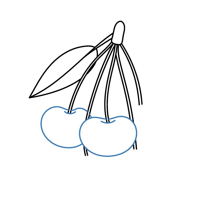 Hướng dẫn vẽ chùm Quả Cherry. - Bước 3