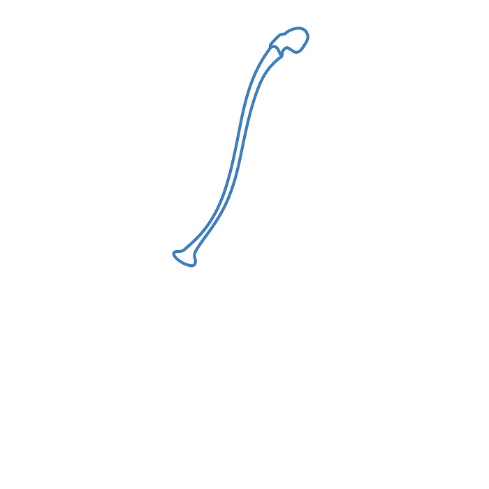 Hướng dẫn vẽ Quả Cherry mọng nước. - Bước 1