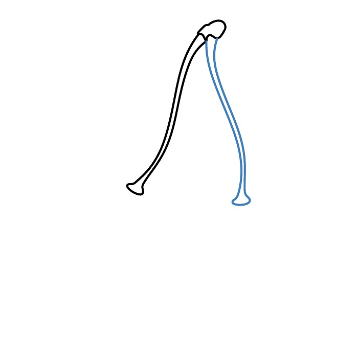 Hướng dẫn vẽ Quả Cherry mọng nước. - Bước 2