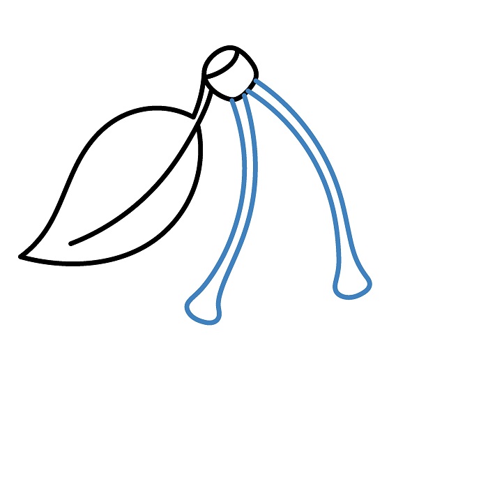 Hướng dẫn vẽ Quả Cherry bóng loáng siêu đẹp. - Bước 3