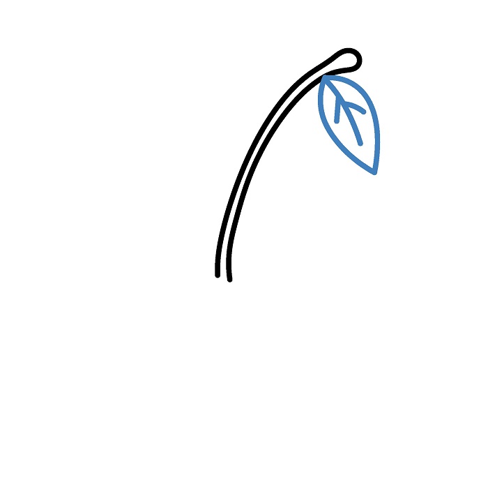 Hướng dẫn vẽ một Quả Cherry đơn giản. - Bước 2