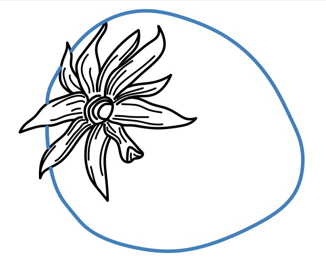 Hướng dẫn vẽ chi tiết quả dâu tây. - Bước 4