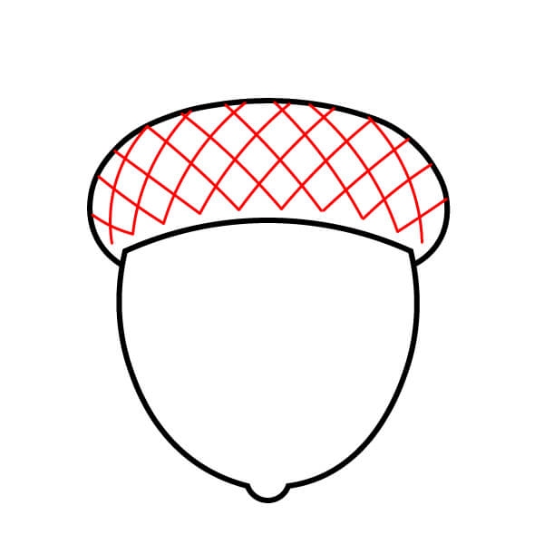 Cách vẽ Quả Sồi dễ thương cho trẻ em - Bước 3