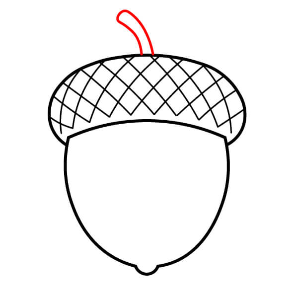 Cách vẽ Quả Sồi dễ thương cho trẻ em - Bước 4