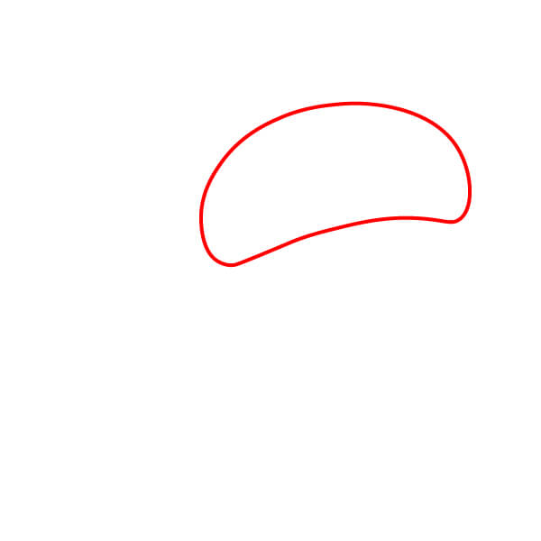 Hướng dẫn vẽ Quả Sồi đơn giản cho người mới bắt đầu - Bước 1