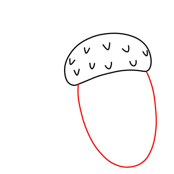 Hướng dẫn vẽ Quả Sồi đơn giản cho người mới bắt đầu - Bước 3