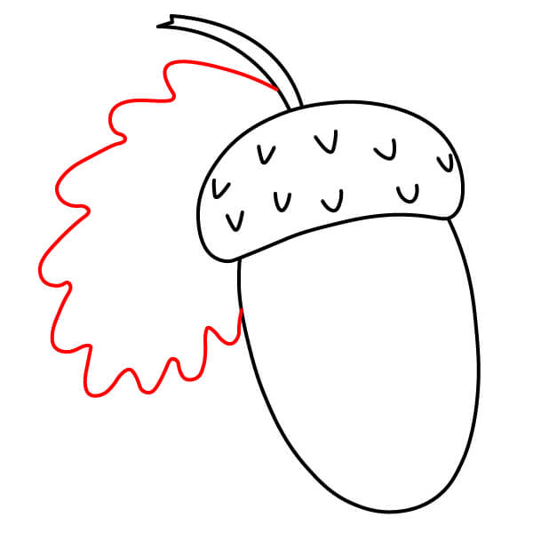 Hướng dẫn vẽ Quả Sồi đơn giản cho người mới bắt đầu - Bước 5