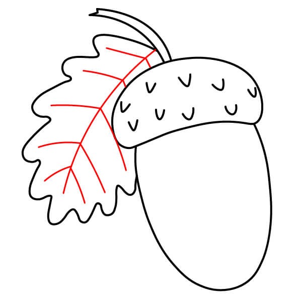 Hướng dẫn vẽ Quả Sồi đơn giản cho người mới bắt đầu - Bước 6