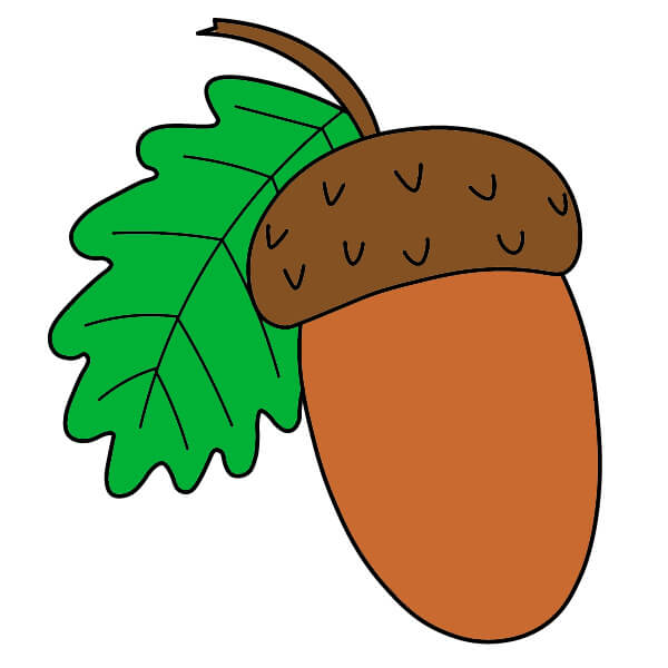 Hướng dẫn vẽ Quả Sồi đơn giản cho người mới bắt đầu - Bước 7