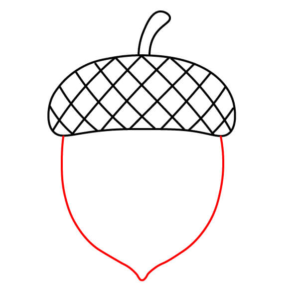 Hướng dẫn vẽ Quả Sồi đơn giản cho họa sĩ trẻ - Bước 4