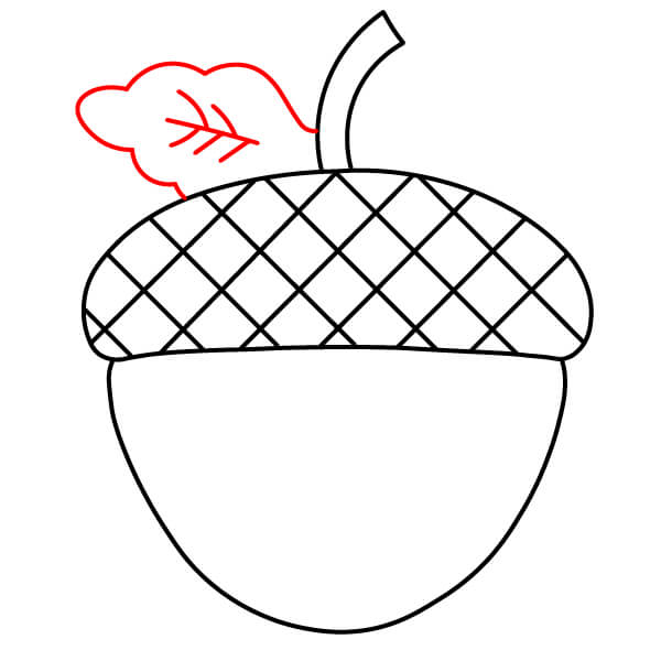 Hướng dẫn vẽ Quả Sồi hoạt hình - Bước 5