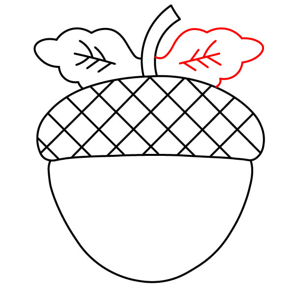 Hướng dẫn vẽ Quả Sồi hoạt hình - Bước 6