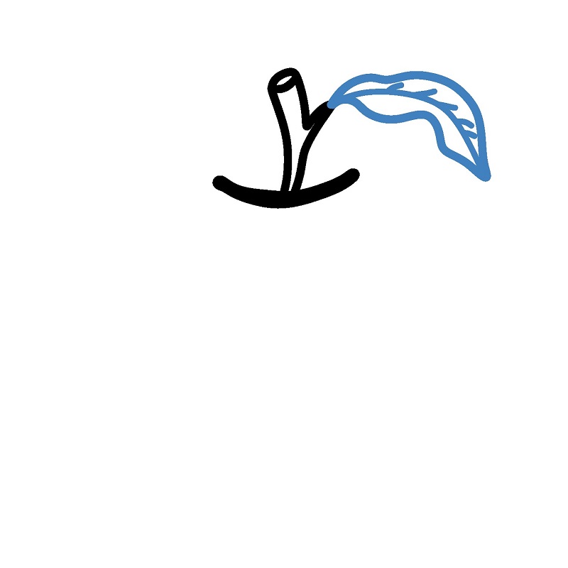 Hướng dẫn vẽ quả táo cắn dở. - Bước 3