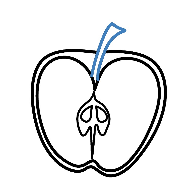 Hướng dẫn vẽ nửa quả táo. - Bước 5