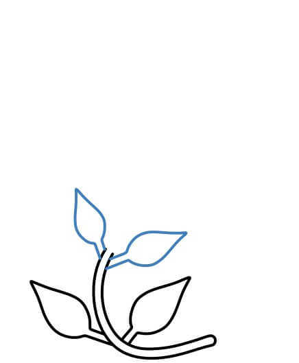 Hướng dẫn vẽ nhánh cây dây leo hình chữ S đơn giản. - Bước 3