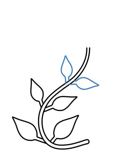 Hướng dẫn vẽ nhánh cây dây leo hình chữ S đơn giản. - Bước 5