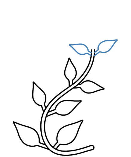 Hướng dẫn vẽ nhánh cây dây leo hình chữ S đơn giản. - Bước 6