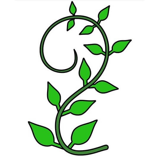 Hướng dẫn vẽ nhánh cây dây leo hình chữ S đơn giản.