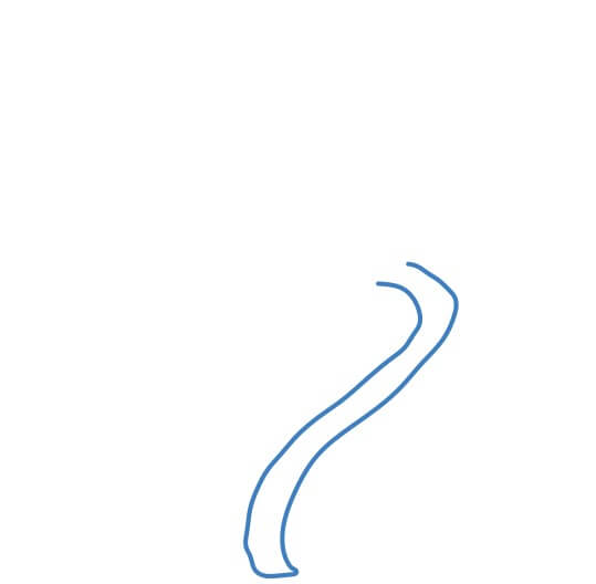 Hướng dẫn vẽ cây dây leo xoắn có nhiều gai. - Bước 1