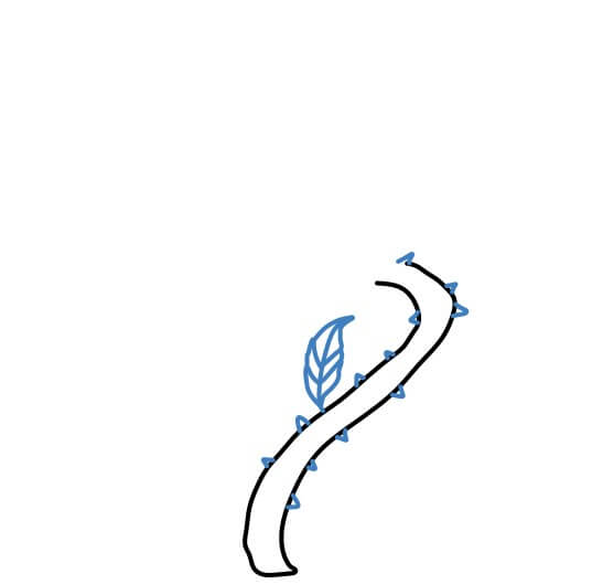 Hướng dẫn vẽ cây dây leo xoắn có nhiều gai. - Bước 2