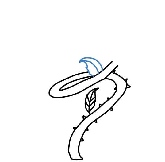 Hướng dẫn vẽ cây dây leo xoắn có nhiều gai. - Bước 4