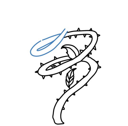 Hướng dẫn vẽ cây dây leo xoắn có nhiều gai. - Bước 8