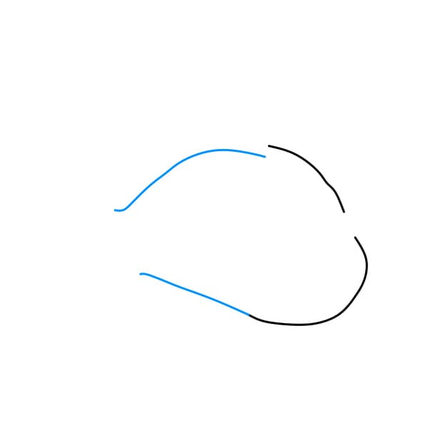 Hướng dẫn vẽ chú cá Nemo ( Trong phim hoạt hình Đi TÌm Nemo) cho bé - Bước 2