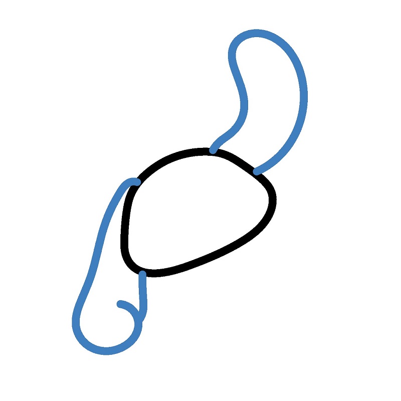 Hướng dẫn vẽ Cinnamoroll vui vẻ. - Bước 2