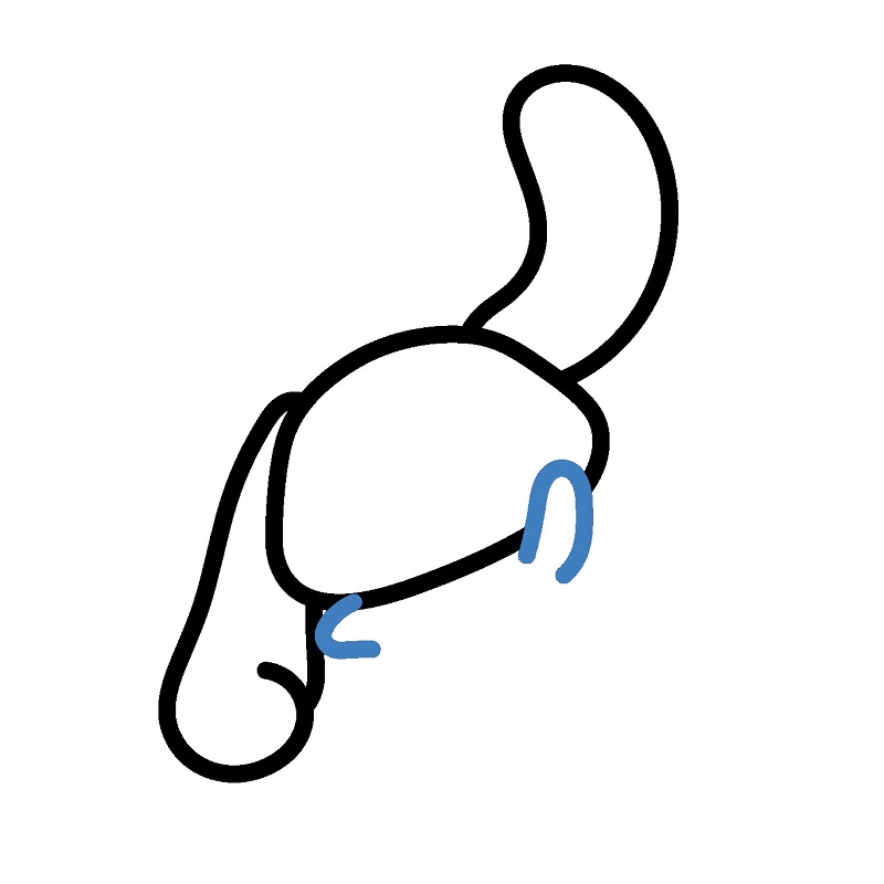 Hướng dẫn vẽ Cinnamoroll vui vẻ. - Bước 3