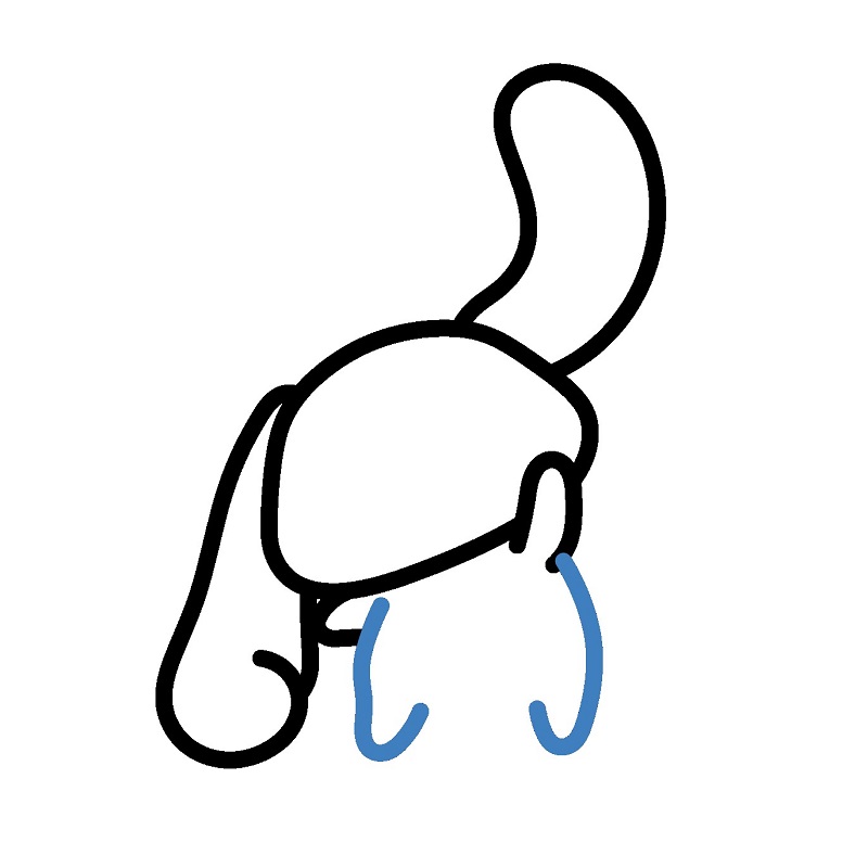 Hướng dẫn vẽ Cinnamoroll vui vẻ. - Bước 4