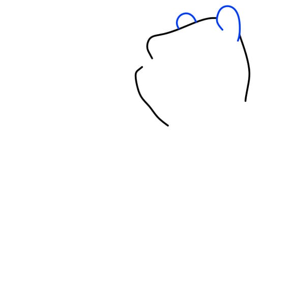 Hướng dẫn vẽ chú gấu pooh đơn giản - Bước 2