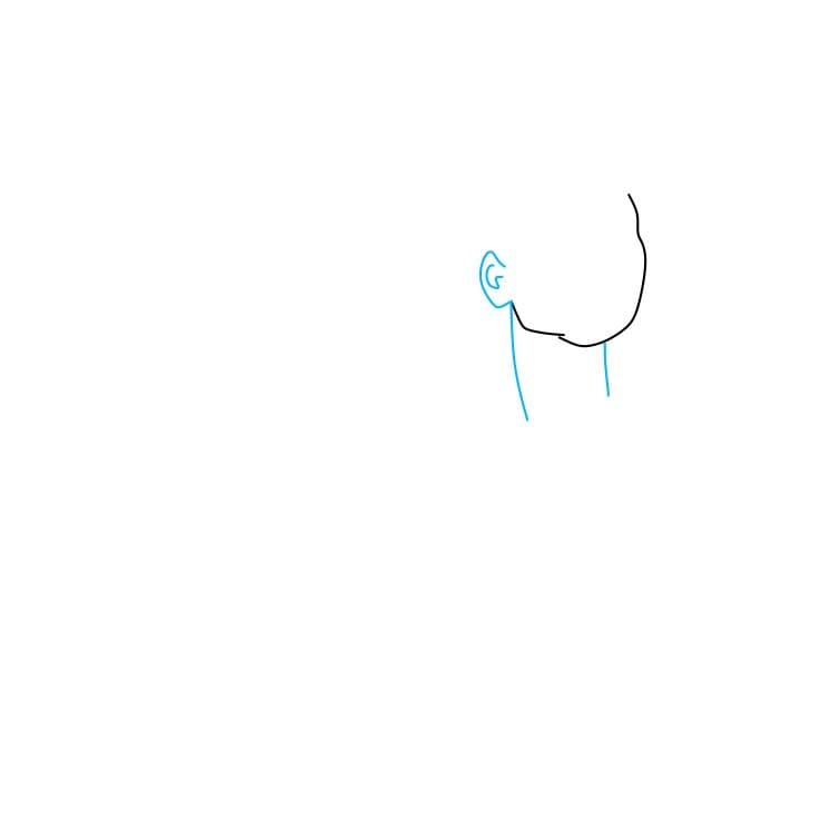 Hướng dẫn vẽ Pocahontas đang vẫy tay chào - Bước 2