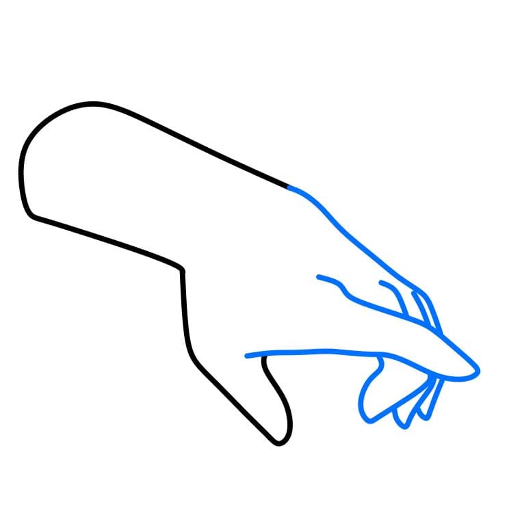 Hướng dẫn cách vẽ bàn tay chi tiết từng bước - Bước 3