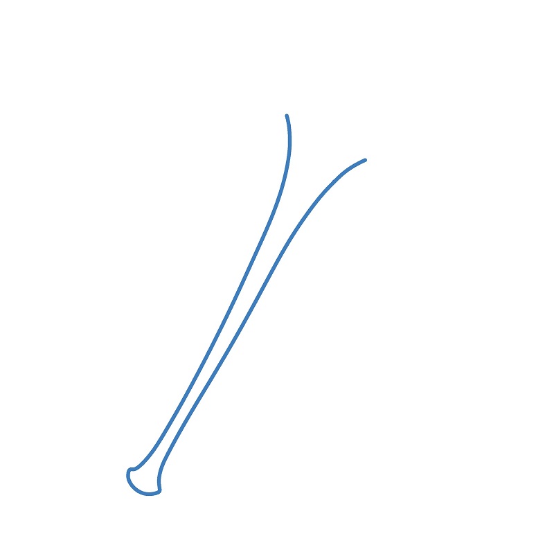 Hướng dẫn vẽ cái kèn hoạt hình đáng yêu. - Bước 1