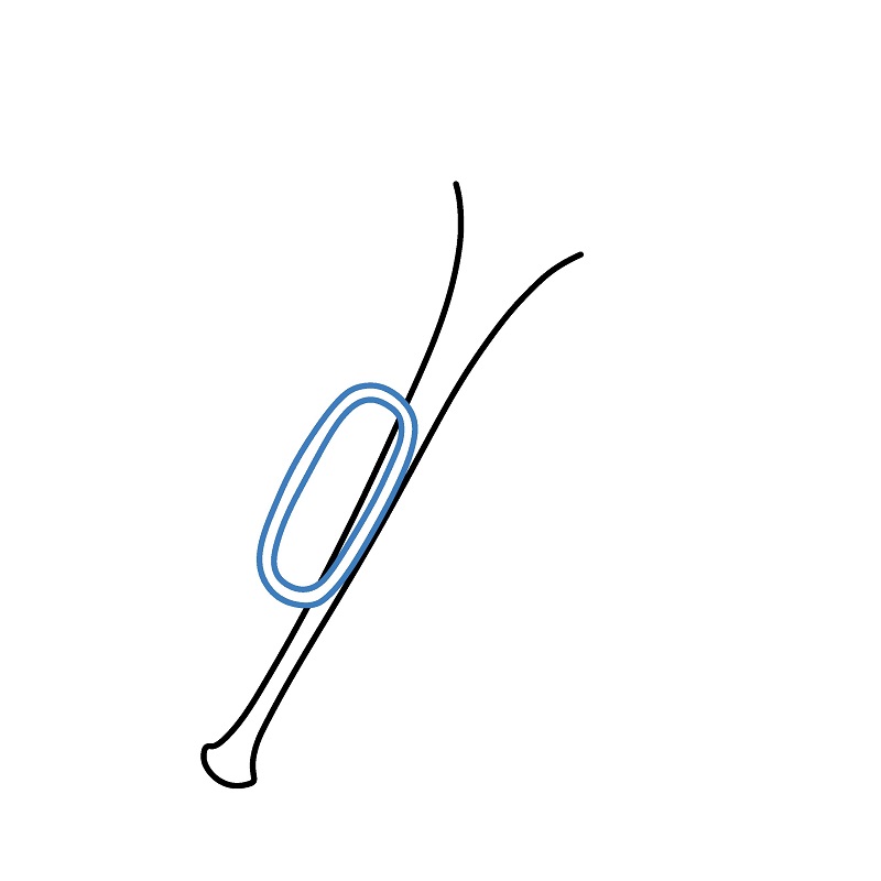 Hướng dẫn vẽ cái kèn hoạt hình đáng yêu. - Bước 2