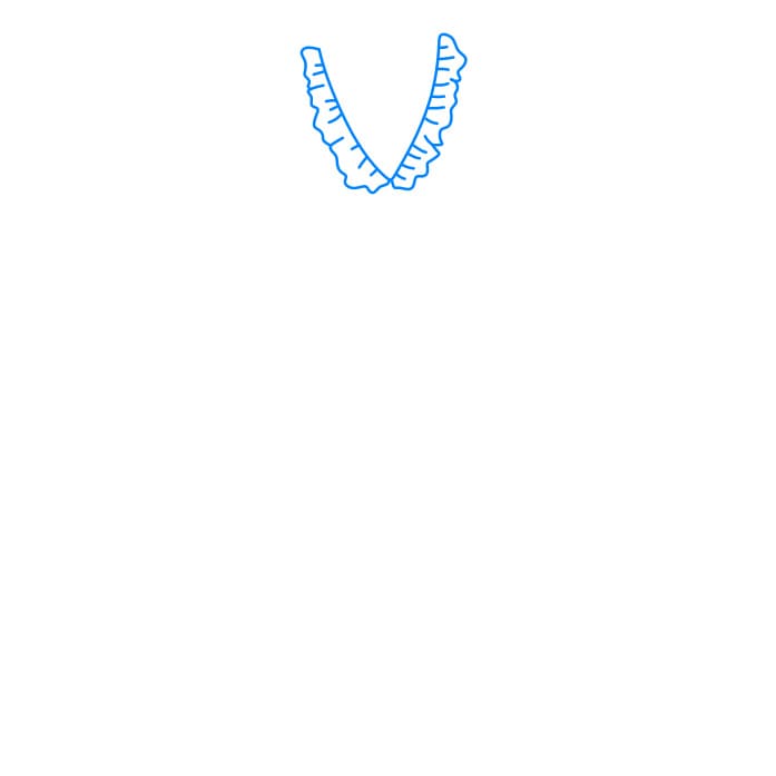 Hướng dẫn cách vẽ cái váy đơn giản và đẹp cho bé - Bước 1