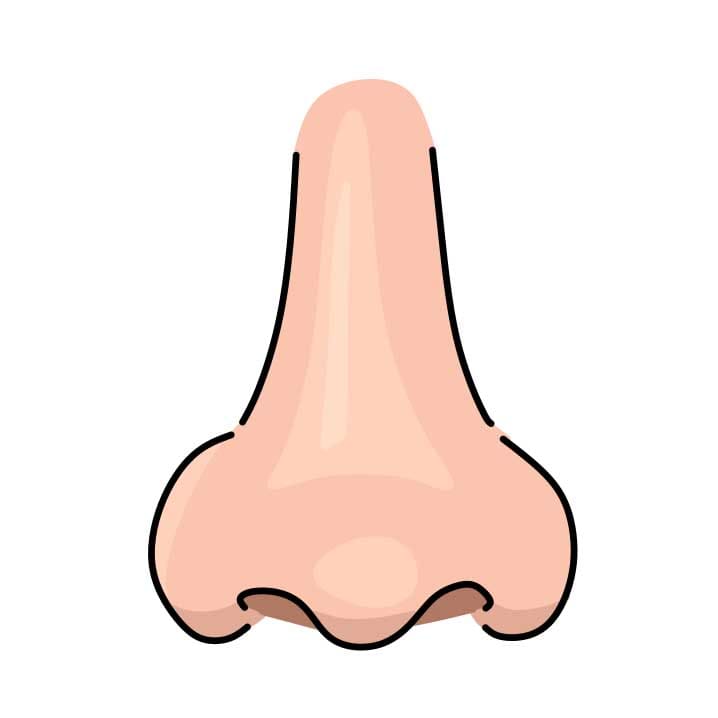 Hướng dẫn cách vẽ chiếc mũi đơn giản cho bé