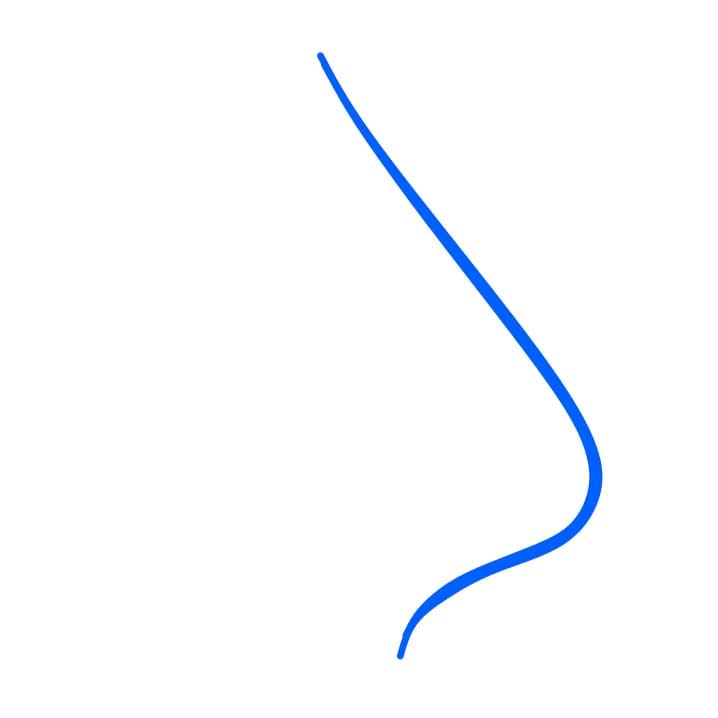 Hướng dẫn vẽ dễ dàng : chiếc mũi - Bước 1