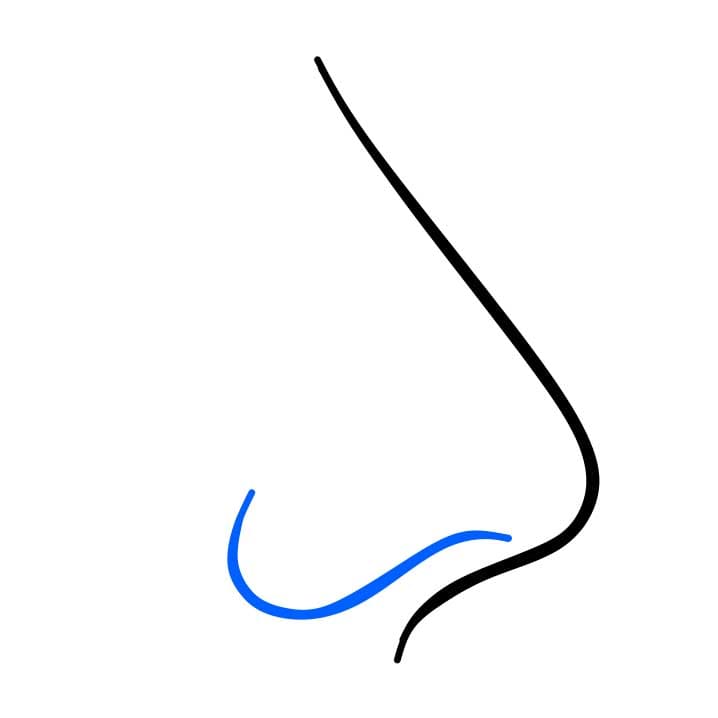 Hướng dẫn vẽ dễ dàng : chiếc mũi - Bước 2