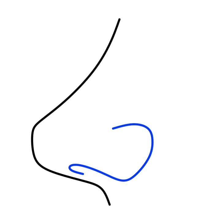 Hướng dẫn cách vẽ chiếc mũi nghiêng bên trái đơn giản - Bước 2